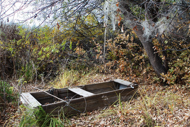 Similar image 864898