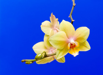 Similar image 864935