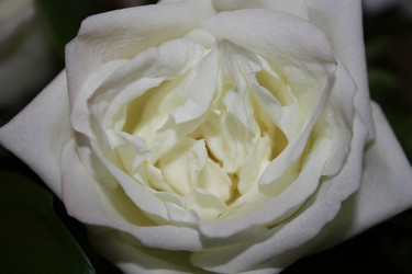 Similar image 865011