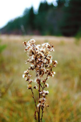 Similar image 865044