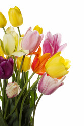 Similar image 865130