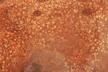 Similar image 865280