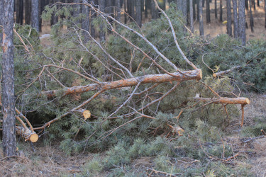 Similar image 865287