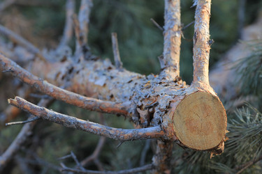 Similar image 865288