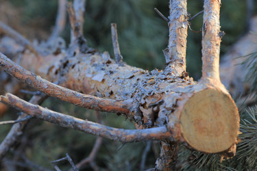 Similar image 865289