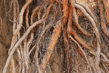 Similar image 865295