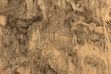 Similar image 865294