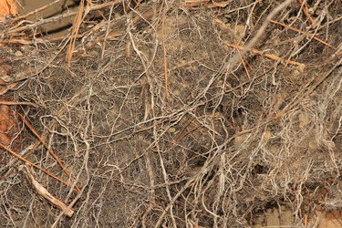 Similar image 865293