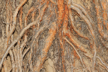 Similar image 865296