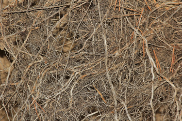 Similar image 865297