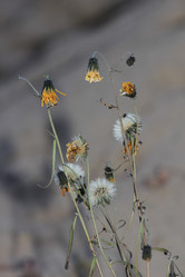 Similar image 865300