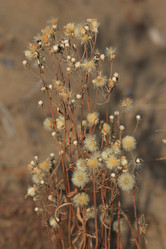 Similar image 865303