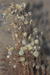 Similar image 865301