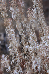 Similar image 865305