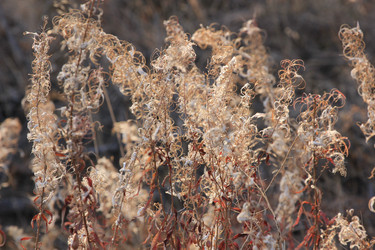 Similar image 865304