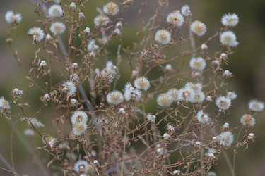 Similar image 865306