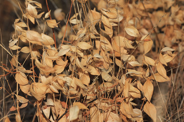 Similar image 865308