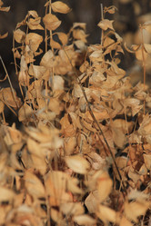 Similar image 865309