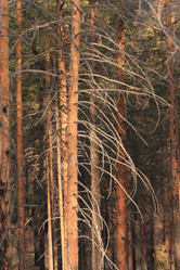 Similar image 865312