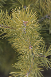 Similar image 865319