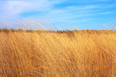 Similar image 865356