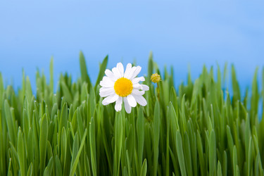 Similar image 865392