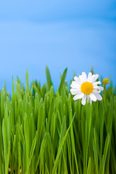 Similar image 865394