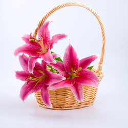 Similar image 865402