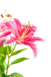 Similar image 865410