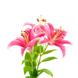 Similar image 865412