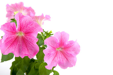 Similar image 865444