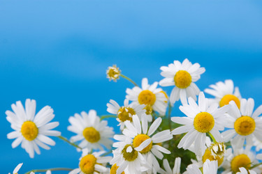 Similar image 865476