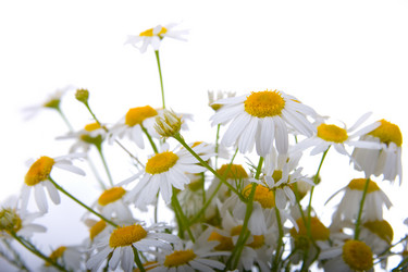 Similar image 865479