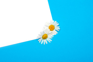 Similar image 865483