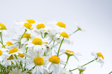 Similar image 865486