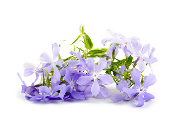 Similar image 865491