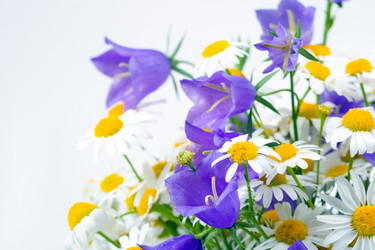 Similar image 865493