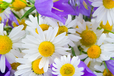 Similar image 865494