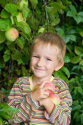 Similar image 865506