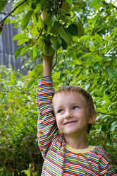 Similar image 865507