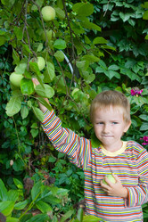 Similar image 865509