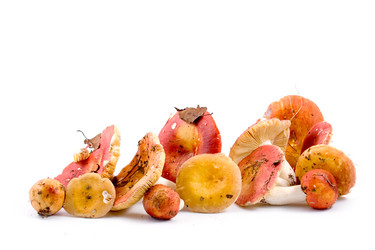 Similar image 865510