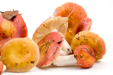 Similar image 865511