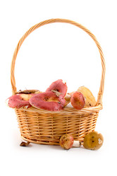 Similar image 865515