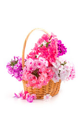 Similar image 865518