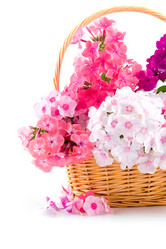 Similar image 865519