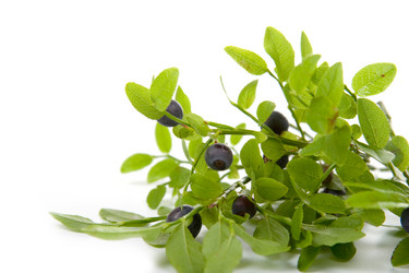 Similar image 865536