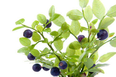 Similar image 865538