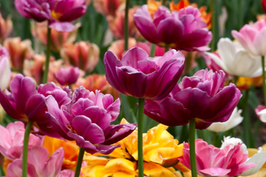 Similar image 865543