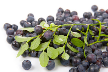 Similar image 865547